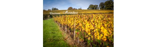 Pacherenc du Vic-Bilh