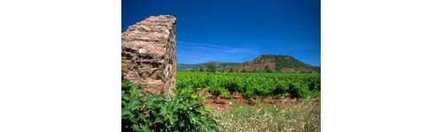 Terrasse du Larzac