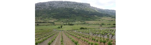 Côtes du Roussillon 