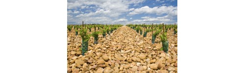 Châteauneuf du Pape