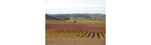 Minervois